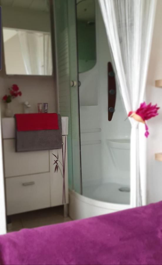 T3 50M2 Duplex Centre Ville أونفلور المظهر الخارجي الصورة